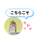 シマリスの絵（個別スタンプ：3）