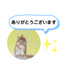 シマリスの絵（個別スタンプ：5）