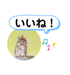 シマリスの絵（個別スタンプ：6）
