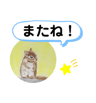 シマリスの絵（個別スタンプ：7）