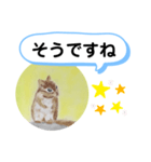 シマリスの絵（個別スタンプ：8）