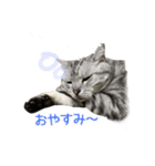 ぼくゴエモン（個別スタンプ：3）