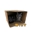 ぼくゴエモン（個別スタンプ：4）