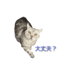 ぼくゴエモン（個別スタンプ：6）