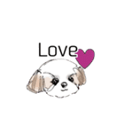 Stickers_Shih Tzu having expression face（個別スタンプ：2）