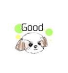 Stickers_Shih Tzu having expression face（個別スタンプ：4）