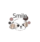 Stickers_Shih Tzu having expression face（個別スタンプ：5）