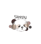 Stickers_Shih Tzu having expression face（個別スタンプ：6）