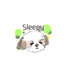 Stickers_Shih Tzu having expression face（個別スタンプ：7）