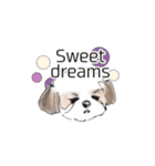 Stickers_Shih Tzu having expression face（個別スタンプ：8）