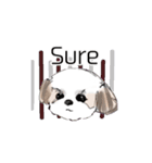 Stickers_Shih Tzu having expression face（個別スタンプ：9）