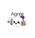 Stickers_Shih Tzu having expression face（個別スタンプ：10）