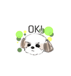 Stickers_Shih Tzu having expression face（個別スタンプ：12）