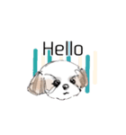 Stickers_Shih Tzu having expression face（個別スタンプ：13）