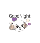 Stickers_Shih Tzu having expression face（個別スタンプ：14）