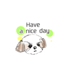 Stickers_Shih Tzu having expression face（個別スタンプ：15）