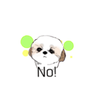 Stickers_Shih Tzu having expression face（個別スタンプ：19）