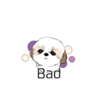 Stickers_Shih Tzu having expression face（個別スタンプ：20）