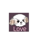 Stickers_Shih Tzu having expression face（個別スタンプ：21）