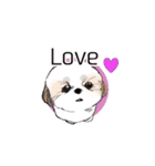 Stickers_Shih Tzu having expression face（個別スタンプ：23）