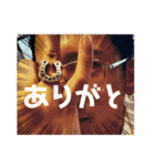 okage6（個別スタンプ：4）