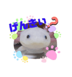 ウーパーもちこと一緒 2（個別スタンプ：15）
