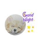 寝てるチワワの絵（個別スタンプ：1）