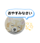 寝てるチワワの絵（個別スタンプ：2）
