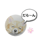 寝てるチワワの絵（個別スタンプ：3）