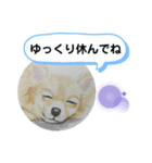 寝てるチワワの絵（個別スタンプ：4）