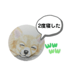寝てるチワワの絵（個別スタンプ：6）