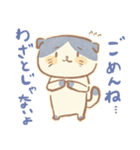 隣の陳さんと癒し猫（個別スタンプ：19）