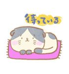 隣の陳さんと癒し猫（個別スタンプ：29）