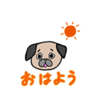 日常で使えるパグ（個別スタンプ：1）