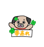 日常で使えるパグ（個別スタンプ：6）