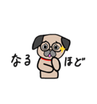 日常で使えるパグ（個別スタンプ：8）