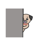 日常で使えるパグ（個別スタンプ：9）