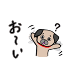 日常で使えるパグ（個別スタンプ：10）