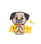 日常で使えるパグ（個別スタンプ：12）