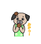 日常で使えるパグ（個別スタンプ：19）
