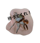 クロベンケイガニ（個別スタンプ：14）