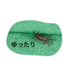 クロベンケイガニ（個別スタンプ：28）