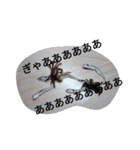 クロベンケイガニ（個別スタンプ：35）
