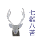 武士道と犬と他（個別スタンプ：10）