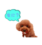 ネルちゃんのスタンプ（個別スタンプ：4）