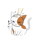 ねことおにぎりです（個別スタンプ：3）