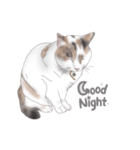 みーm（個別スタンプ：1）