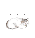 みーm（個別スタンプ：8）