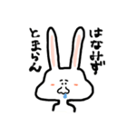 つまり、うさぎです。（個別スタンプ：10）