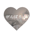 可愛い日常会話(꒪˙꒳˙꒪ )໒꒱（個別スタンプ：16）